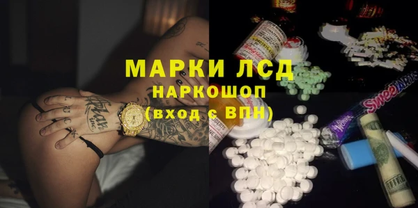 прущие грибы Алзамай