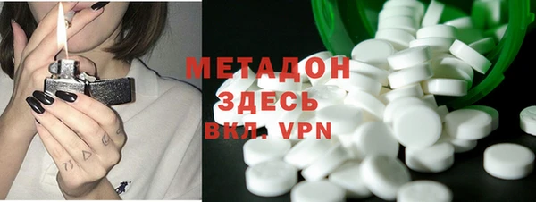 прущие грибы Алзамай