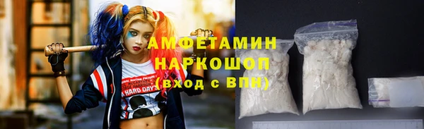 прущие грибы Алзамай