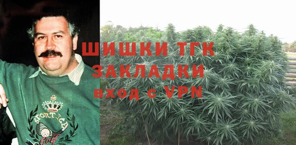 соль ск Алексин