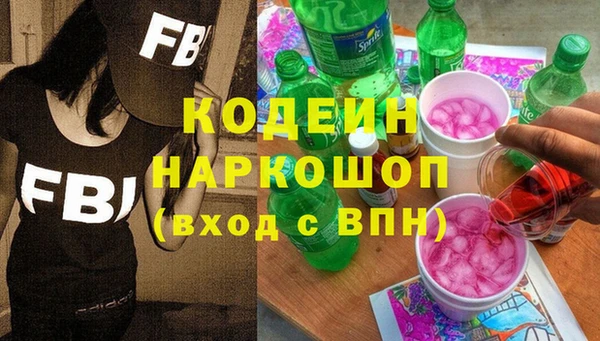 прущие грибы Алзамай