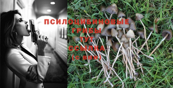 соль ск Алексин