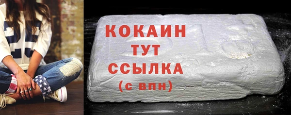 соль ск Алексин