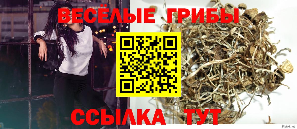 Куйбышев  Псилоцибиновые грибы Magic Shrooms  Псилоцибиновые грибы ЛСД  Вход с VPN 