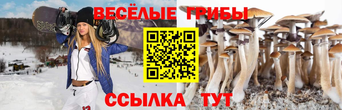 Галлюциногенные грибы ЛСД Куйбышев